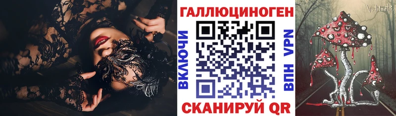 MEGA что такое Берёзовка Галлюциногенные грибы MAGIC MUSHROOMS