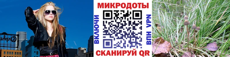 Псилоцибиновые грибы Psilocybine cubensis Берёзовка
